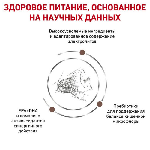 Сухий корм Royal Canin Gastrointestinal Fibre Response при порушеннях травлення у кішок, 400 г