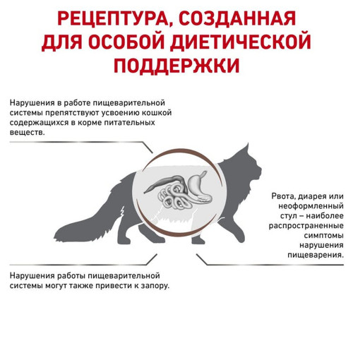 Сухий корм Royal Canin Gastrointestinal Fibre Response при порушеннях травлення у кішок, 400 г