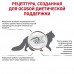 Сухий корм Royal Canin Gastrointestinal Fibre Response при порушеннях травлення у кішок, 400 г