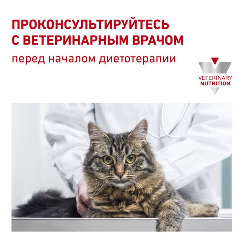 Сухий корм Royal Canin Gastrointestinal Fibre Response при порушеннях травлення у кішок, 400 г