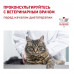 Сухий корм Royal Canin Gastrointestinal Fibre Response при порушеннях травлення у кішок, 400 г