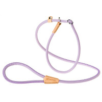 Поводок с ошейником из эко-кожи Ferplast Derby GC10/160 Purple для собак, 10 мм, 160 см Поводок с ошейником из эко-кожи Ferplast Derby GC10/160 Purple для собак, 10 мм, 160 см