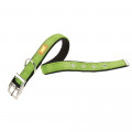 Нейлоновий нашийник Ferplast Dual CF15 / 35 Colours Green для собак, 15 мм, A: 27 ÷ 35 см