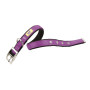 Нейлоновый ошейник Ferplast Dual CF15/35 Colours Purple для собак, 15 мм, A: 27÷35 см