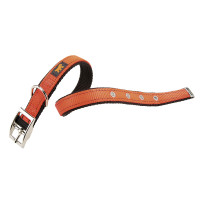 Нейлоновый ошейник Ferplast Dual CF20/43 Colours Orange для собак, 20 мм, A: 35÷43 см Нейлоновый ошейник Ferplast Dual CF20/43 Colours Orange для собак, 20 мм, A: 35÷43 см