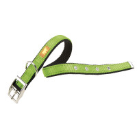 Нейлоновий нашийник Ferplast Dual CF25 / 43 Colours Green для собак, 25 мм, A: 37 ÷ 45 см Нейлоновий нашийник Ferplast Dual CF25 / 43 Colours Green для собак, 25 мм, A: 37 ÷ 45 см