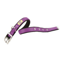 Нейлоновый ошейник Ferplast Dual CF25/43 Colours Purple для собак, 25 мм, A: 37÷45 см Нейлоновый ошейник Ferplast Dual CF25/43 Colours Purple для собак, 25 мм, A: 37÷45 см