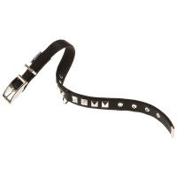 Нейлоновый ошейник Ferplast Dual CF25/43 Colours Black для собак, 25 мм, A: 37÷45 см Нейлоновый ошейник Ferplast Dual CF25/43 Colours Black для собак, 25 мм, A: 37÷45 см
