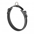 Нашийник Ferplast Ergocomfort C15 / 33 Grey для собак, A: 25 ÷ 33 см, B: 15 мм