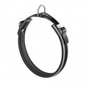 Нашийник Ferplast Ergocomfort C25 / 60 Grey для собак, A: 52 ÷ 60 см, B: 25 мм