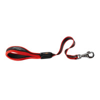 Поводок Ferplast Ergocomfort GM25/55 Red для собак с эргономичной ручкой на подкладке, 25 мм, 5 см Поводок Ferplast Ergocomfort GM25/55 Red для собак с эргономичной ручкой на подкладке, 25 мм, 5 см