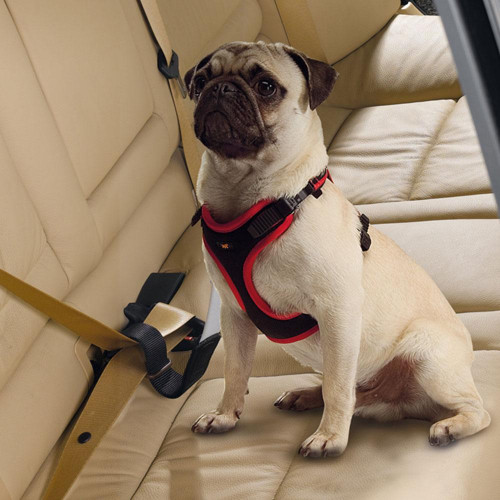Автомобільний ремінь безпеки Ferplast Dog Travel Belt для собак дрібних і середніх порід, 40 мм, 50 см