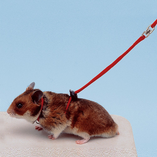 Регульована шлею Ferplast NY Ham Harness Hamster Red для хом'яків, червона