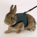 Шлейка Ferplast Jogging Small-harness для дрібних тварин