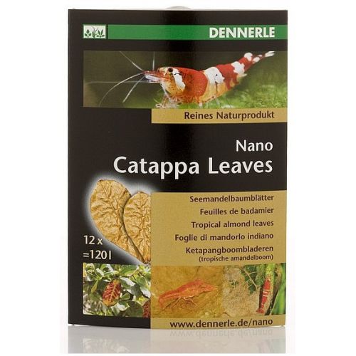 Листя мигдалевого дерева Dennerle Nano Catappa Leaves, для креветок, 12 шт