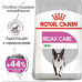 Сухий корм Royal Canin Mini Relax Care з заспокійливою дією для собак дрібних порід, 1 кг