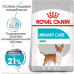 Сухий корм Royal Canin Mini Urinary Care для собак дрібних порід з чутливою сечовидільної системою, 3 кг