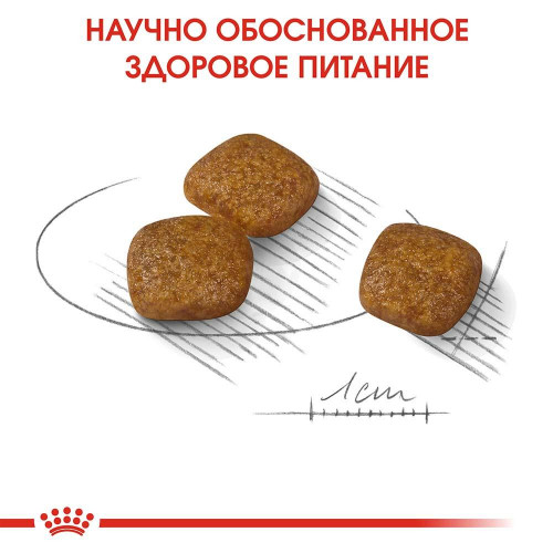 Сухий корм Royal Canin Mini Urinary Care для собак дрібних порід з чутливою сечовидільної системою, 3 кг