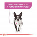 Вологий корм Royal Canin Relax Care з заспокійливою дією для собак, паштет, 85 г