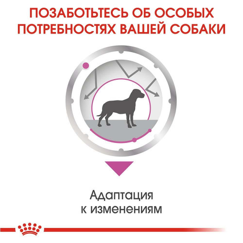 Вологий корм Royal Canin Relax Care з заспокійливою дією для собак, паштет, 85 г
