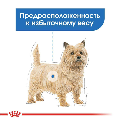 Вологий корм Royal Canin Light Weight Care для собак схильних до ожиріння, паштет, 85 г