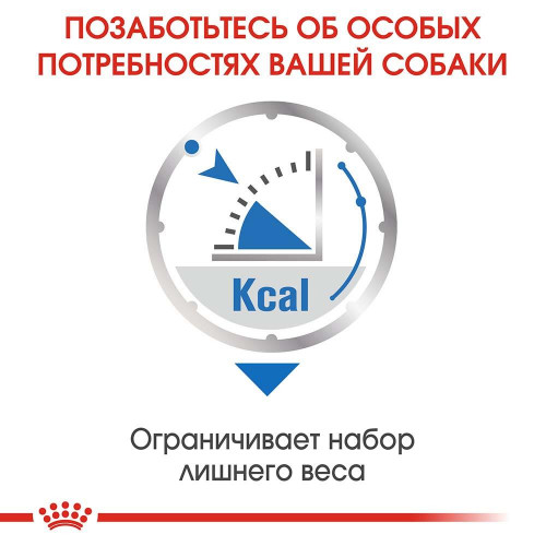 Вологий корм Royal Canin Light Weight Care для собак схильних до ожиріння, паштет, 85 г