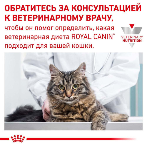 Вологий корм Royal Canin Urinary S/O при сечокам'яній хворобі у кішок, паштет, 85 г