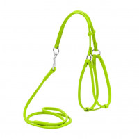 Шлея с поводком Waudog Glamour №2 круглая для кошек и мелких собак 6 мм, 90 см, салатовый Шлея с поводком Waudog Glamour №2 круглая для кошек и мелких собак 6 мм, 90 см, салатовый