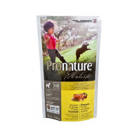 Сухий корм Pronature Holistic Puppy Chicken & Sweet Potato з куркою і бататом, для цуценят всіх порід, 340 г Сухий корм Pronature Holistic Puppy Chicken & Sweet Potato з куркою і бататом, для цуценят всіх порід, 340 г