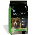 Сухий корм Equilibrio Dog суперпреміум, для собак середніх порід, 2 кг