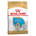 Сухий корм Royal Canin Golden Retriever Puppy для цуценя золотистого ретривера, 12 кг