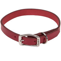 Кожаный ошейник Coastal Circle T Leather Town для собак, красный, 2.5×55 см Кожаный ошейник Coastal Circle T Leather Town для собак, красный, 2.5×55 см