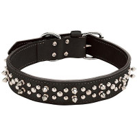 Подвійний нашийник Coastal Spiked Leather для собак, з шипами, чорний, 4.25×65 см Подвійний нашийник Coastal Spiked Leather для собак, з шипами, чорний, 4.25×65 см