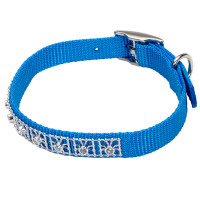 Нашийник Coastal Jeweled для собак, блакитна лагуна, 1×25 см Нашийник Coastal Jeweled для собак, блакитна лагуна, 1×25 см