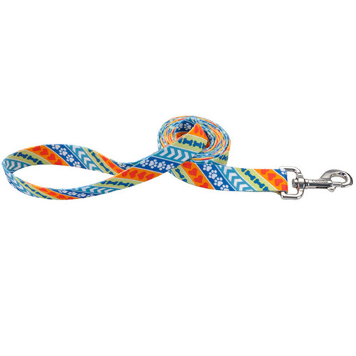 Нейлоновий поводок Coastal Pet Attire для собак, 1×1.8 см