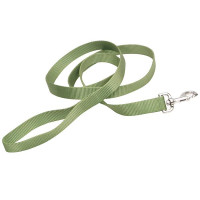 Нейлоновый поводок Coastal Nylon Training для собак, зеленый, 2.5×1.8 м Нейлоновый поводок Coastal Nylon Training для собак, зеленый, 2.5×1.8 м