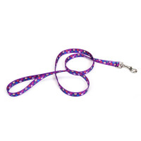 Поводок Coastal Pet Attire Style для собак, лапка, 2×1.2 м Поводок Coastal Pet Attire Style для собак, лапка, 2×1.2 м