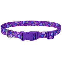 Ошейник Coastal Pet Attire Style для собак, лапка, 1×12-30 см Ошейник Coastal Pet Attire Style для собак, лапка, 1×12-30 см