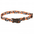 Ошейник Coastal Pet Attire Style для собак, оранжевый, 2.5×45-71 см