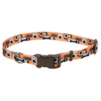 Ошейник Coastal Pet Attire Style для собак, оранжевый, 2.5×45-71 см Ошейник Coastal Pet Attire Style для собак, оранжевый, 2.5×45-71 см