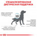 Сухий корм Royal Canin Skin Care Adult при захворюванні шкіри у собак, 11 кг