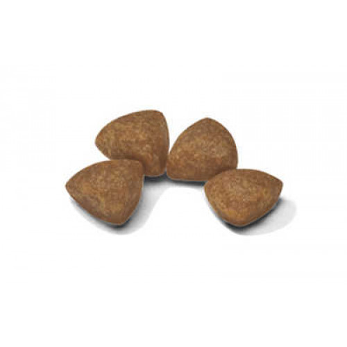 Сухой корм Royal Canin X-Small Puppy для щенков миниатюрных пород до 10 месяцев, 3 кг