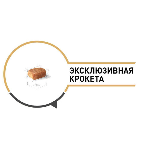 Сухий корм Royal Canin Chihuahua Puppy для цуценя чихуахуа, 500 г