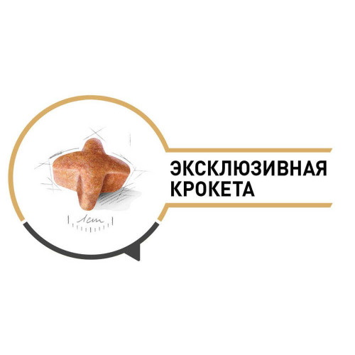 Сухий корм Royal Canin German Shepherd Adult для німецької вівчарки, 11 кг