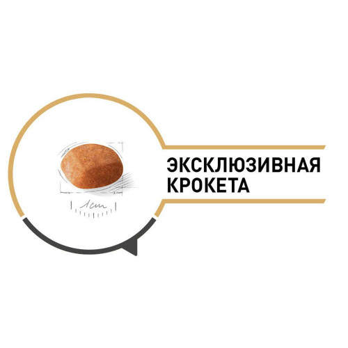 Сухий корм Royal Canin Golden Retriever Puppy для цуценя золотистого ретривера, 12 кг