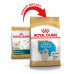 Сухий корм Royal Canin Golden Retriever Puppy для цуценя золотистого ретривера, 12 кг