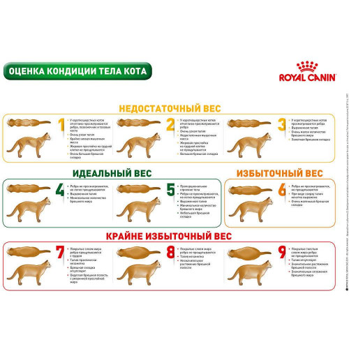 Сухий корм Royal Canin Mature Consult для кішок від 7 років без видимих ​​ознак старіння, 3.5 кг