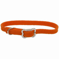 Нейлоновый ошейник Coastal Sunburst для собак, зеленый, 1×30 см Нейлоновый ошейник Coastal Sunburst для собак, зеленый, 1×30 см