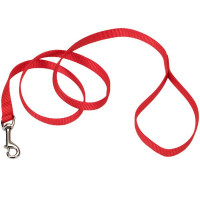 Нейлоновый поводок Coastal Training Lead для собак, красный, 1.5×1.8 м Нейлоновый поводок Coastal Training Lead для собак, красный, 1.5×1.8 м