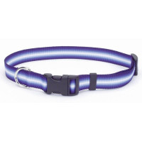 Ошейник Coastal Trendz Graduated для собак, синий, 1×30 см Ошейник Coastal Trendz Graduated для собак, синий, 1×30 см
